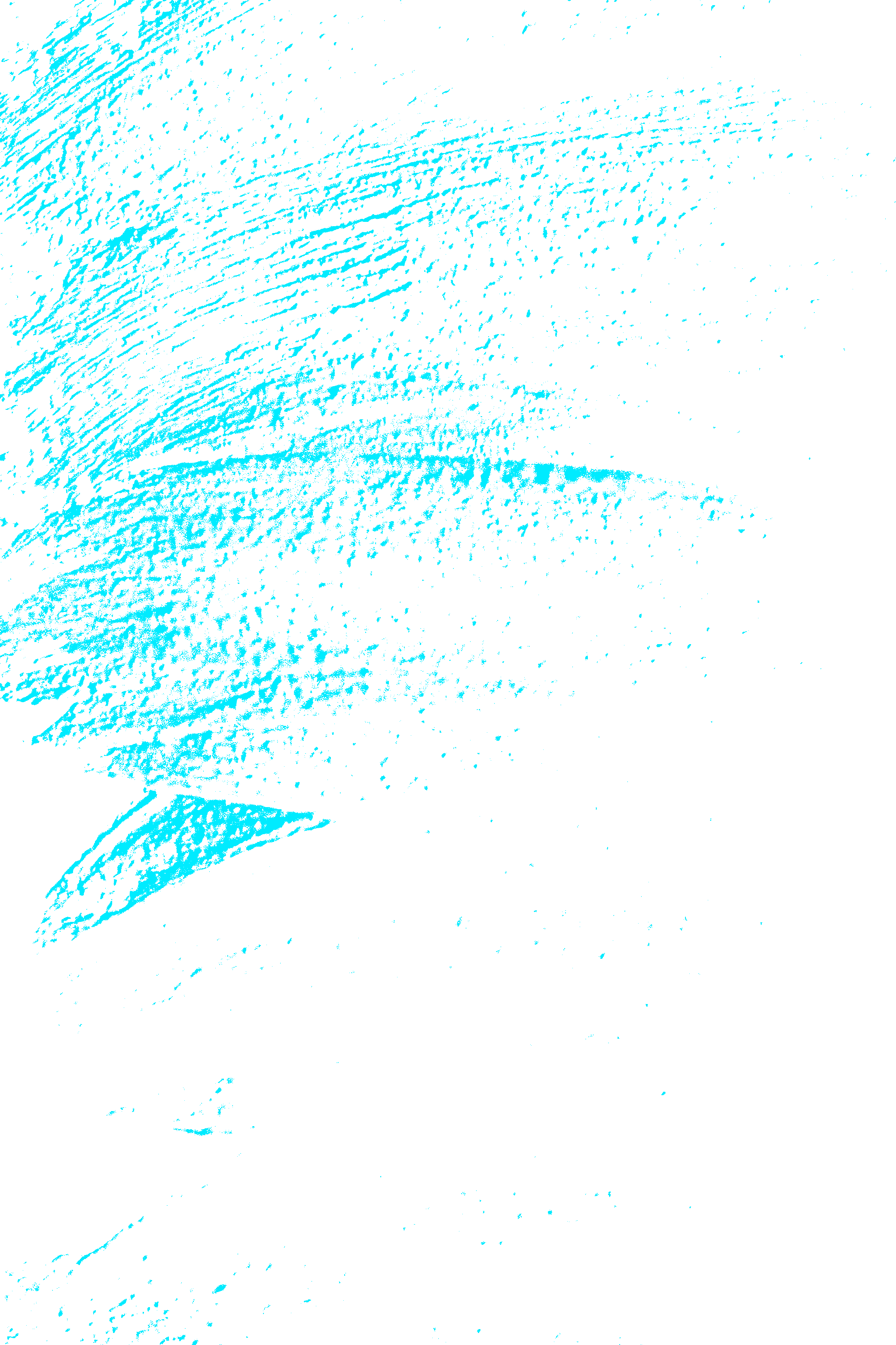 brush-cover