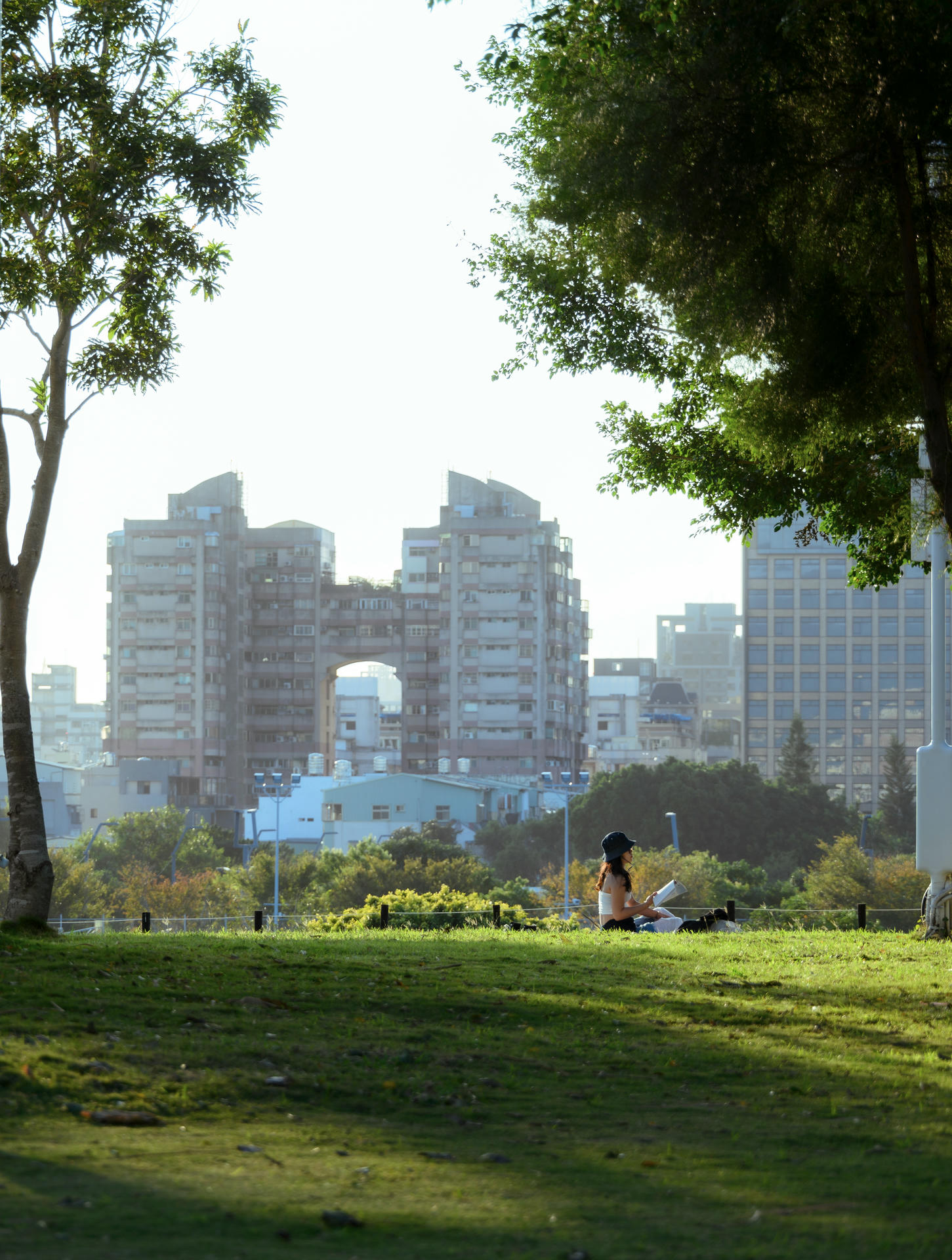 中央公園